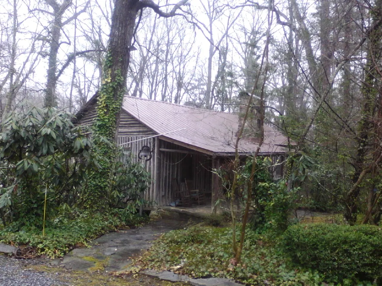 Weathered metal roof on an old board sided cabin in the woods in Scranton